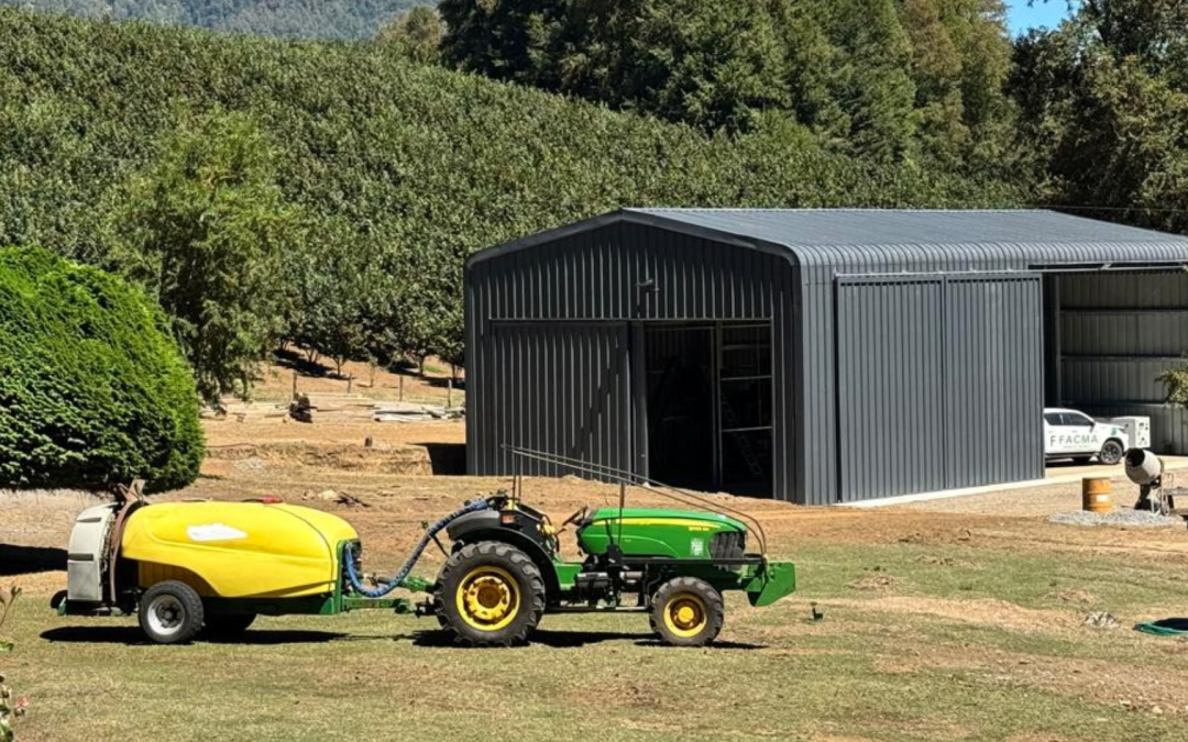 Planta Secado Avellanos